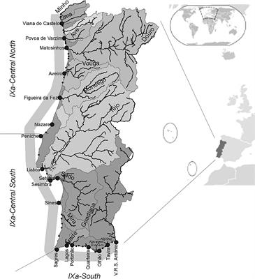 <mark class="highlighted">Environmental variability</mark> and fishing effects on artisanal flatfish fisheries along the Portuguese coast